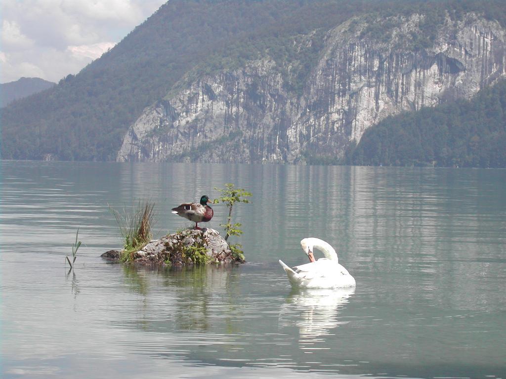 Landhaus Leitner Am Wolfgangsee Sankt Gilgen Buitenkant foto